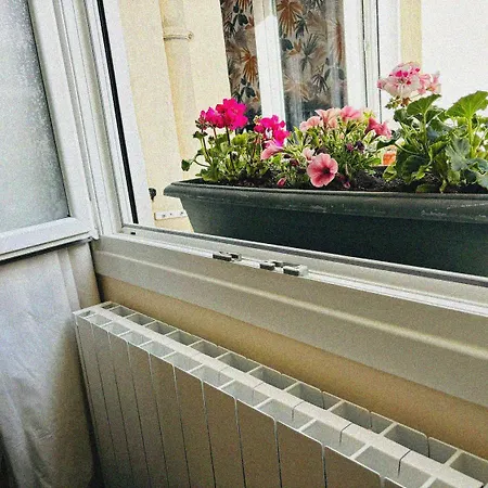 La Vieja Arena Wifi Bilbau